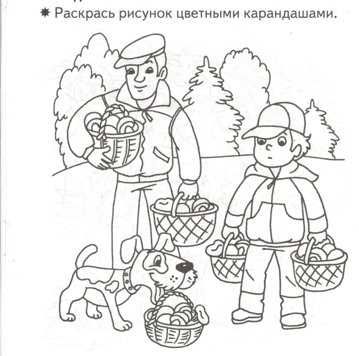 Раскраска сбор грибов