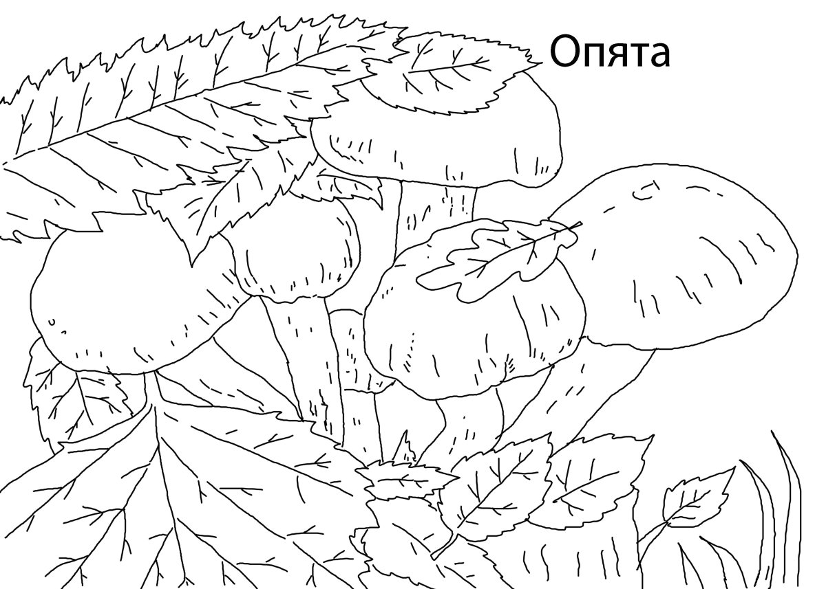 Раскраска пикник