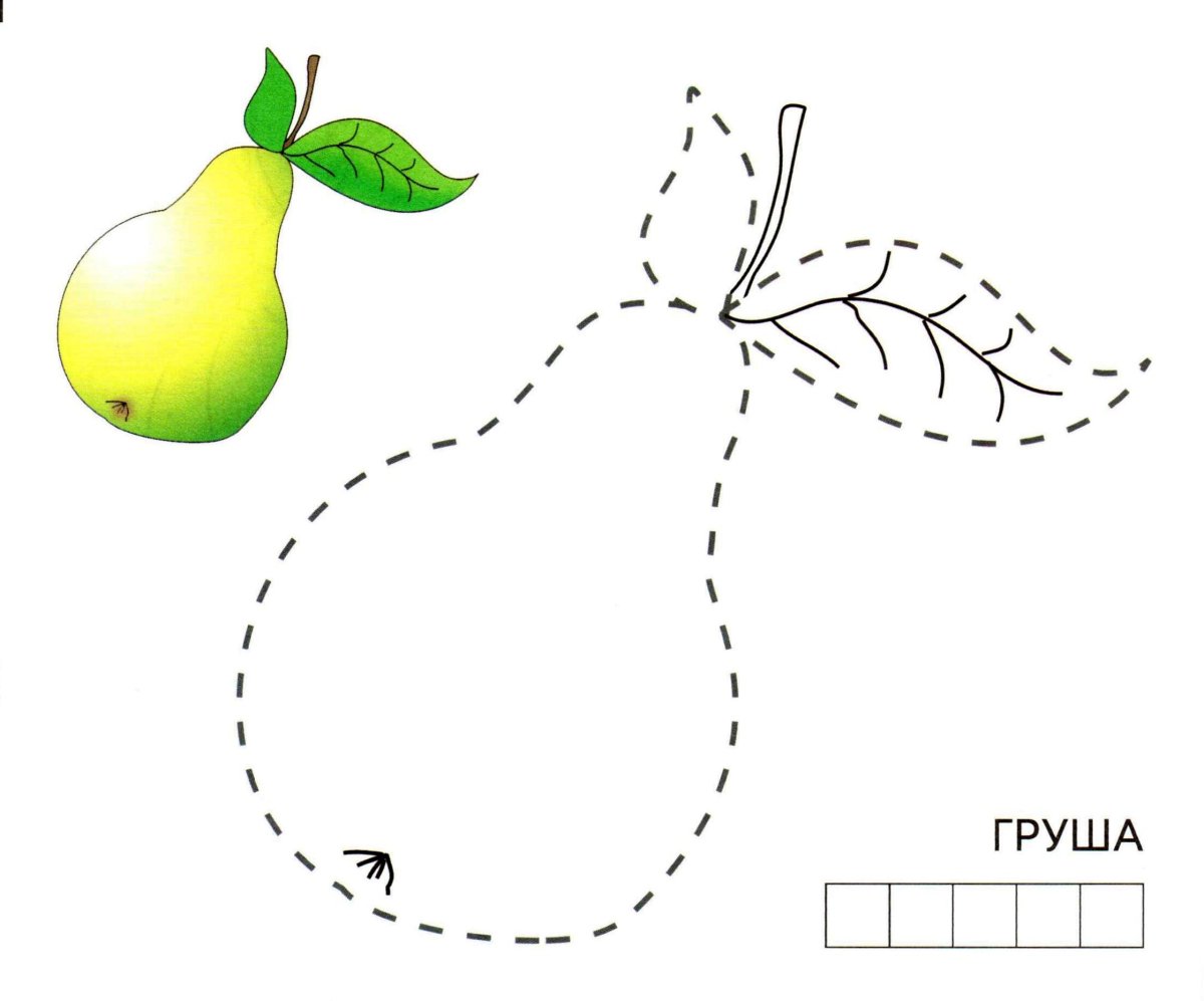 Рисование по точкам овощи