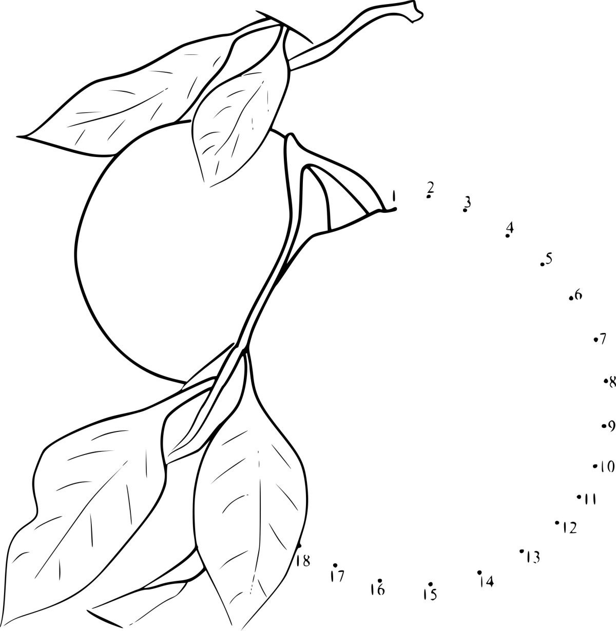 Раскраска ананас для детей 3-4 лет