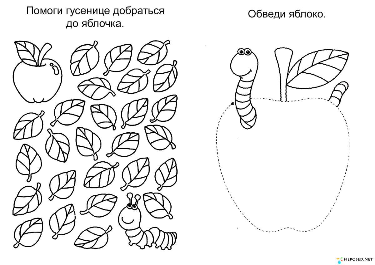 Овощи по цифрам для детей