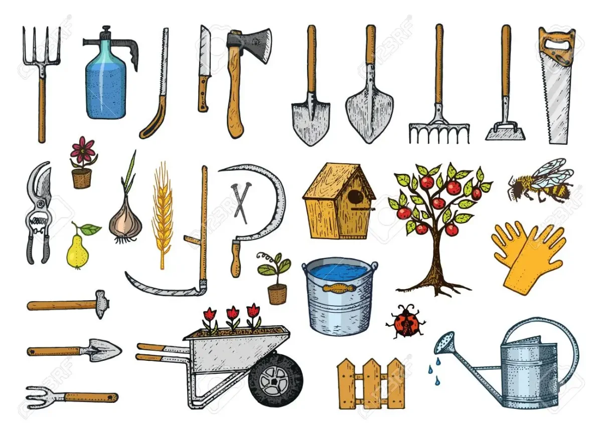 Раскрась инвентарь для ухода за комнатными растениями