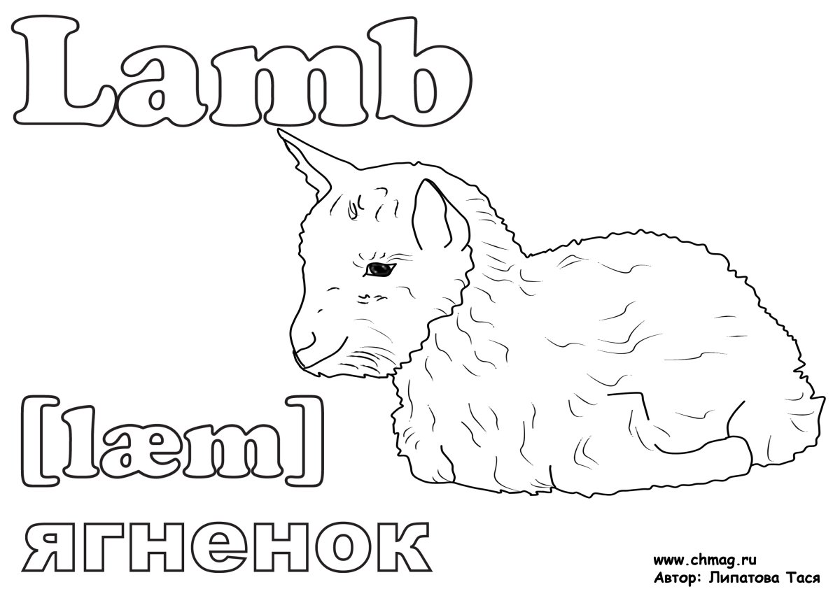 Животные на английском раскраска