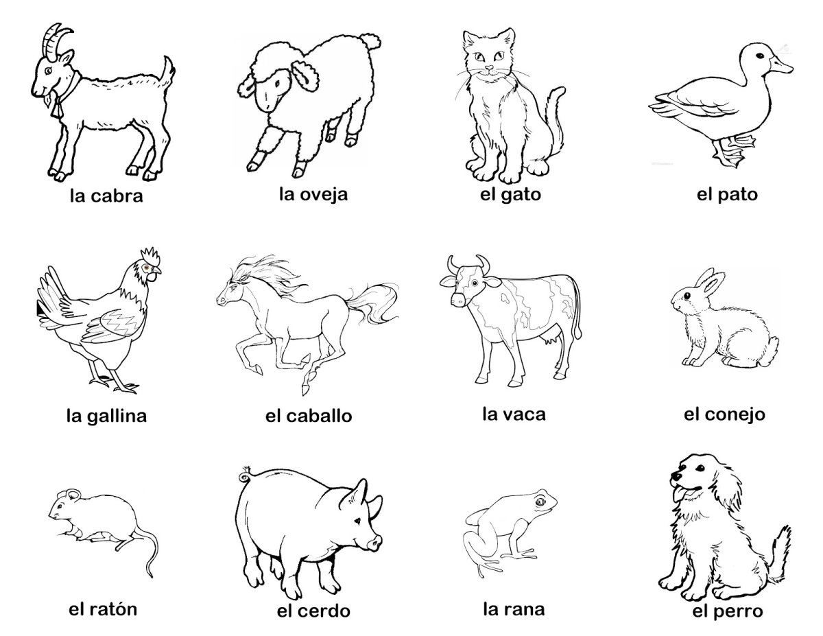 Раскраски для детей на английском языке