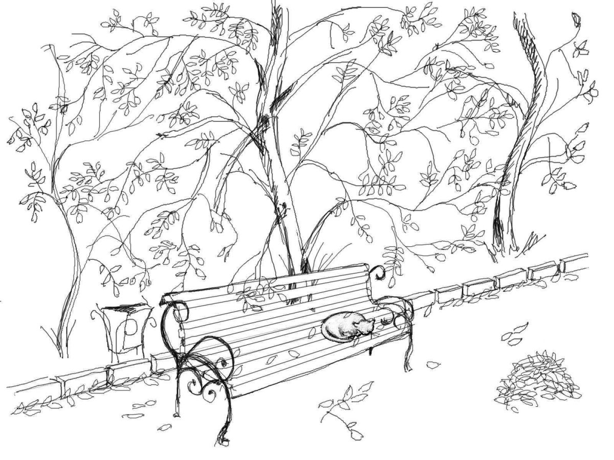 Осень в парке вектор