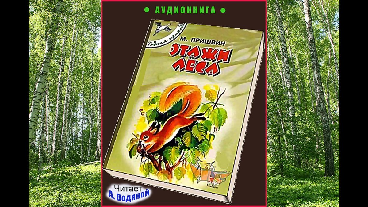 М. Пришвина «этажи леса»