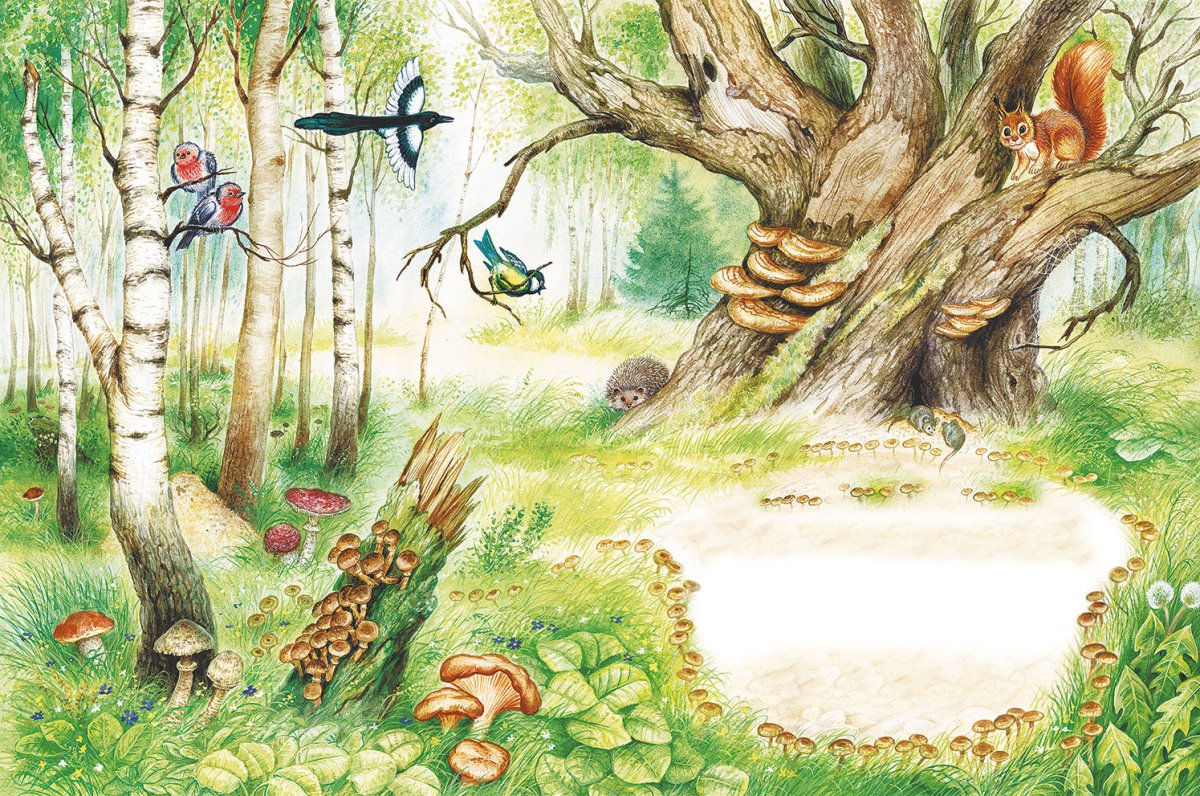 Поляна Виталия Бианки