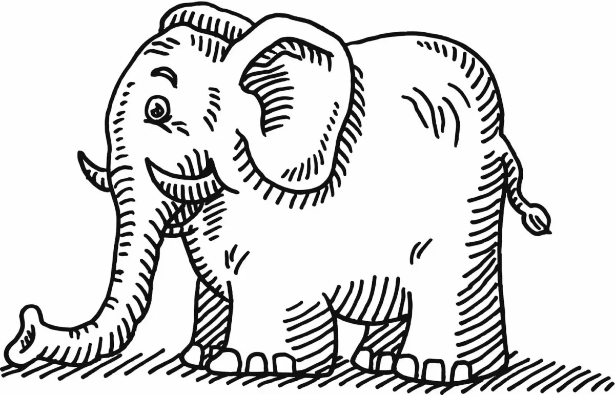 Слоны раскраска для детей