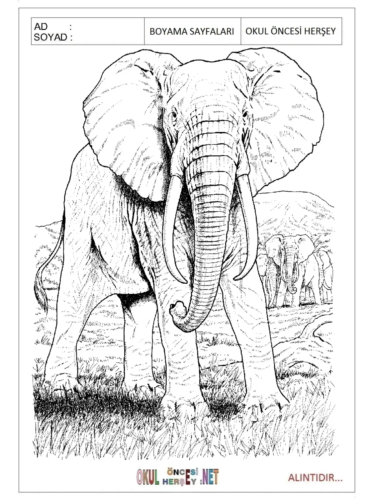 Раскраска слон с бананом