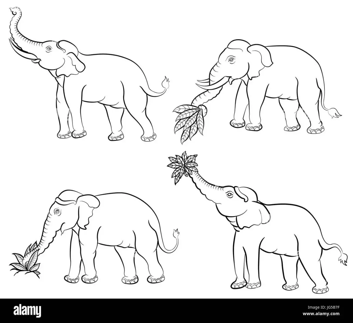 Раскраска слон и Слоненок