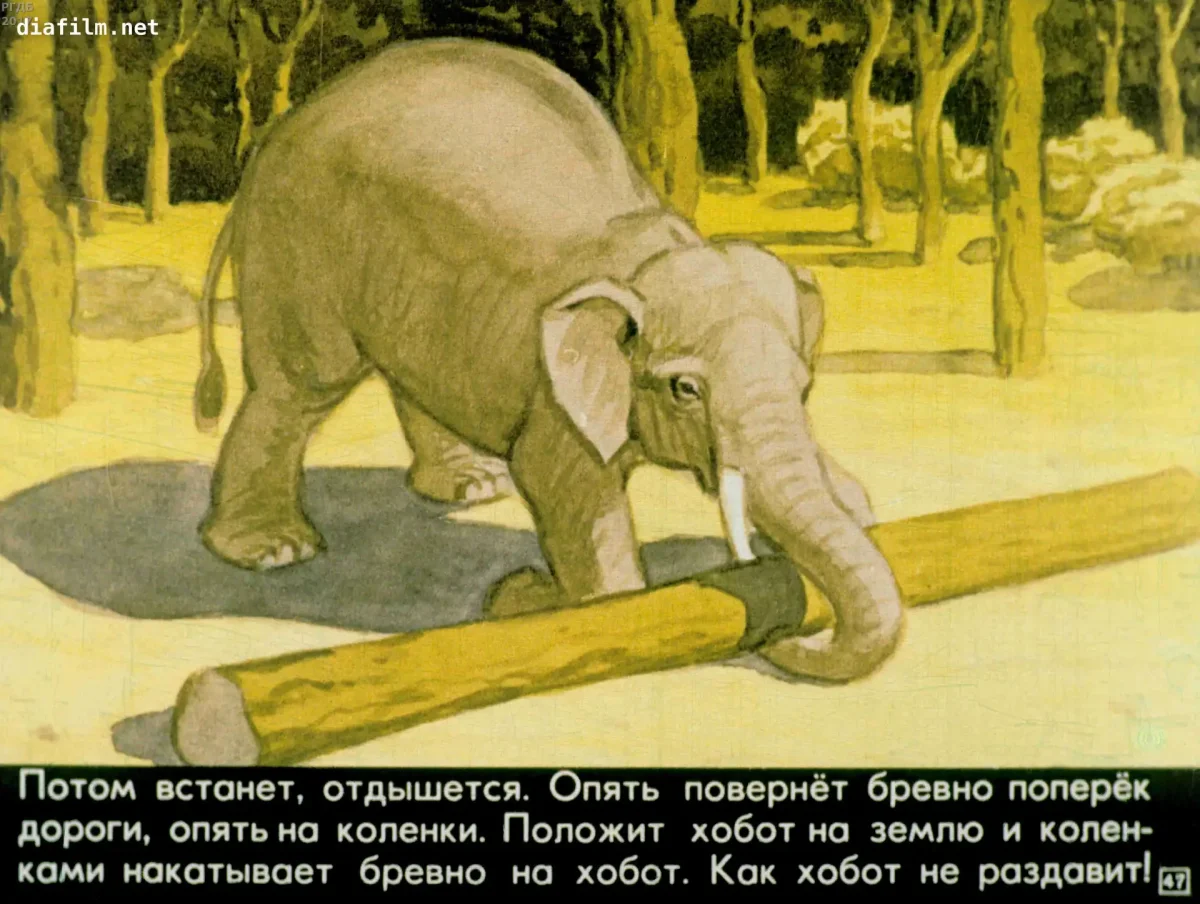 Житкова про слона