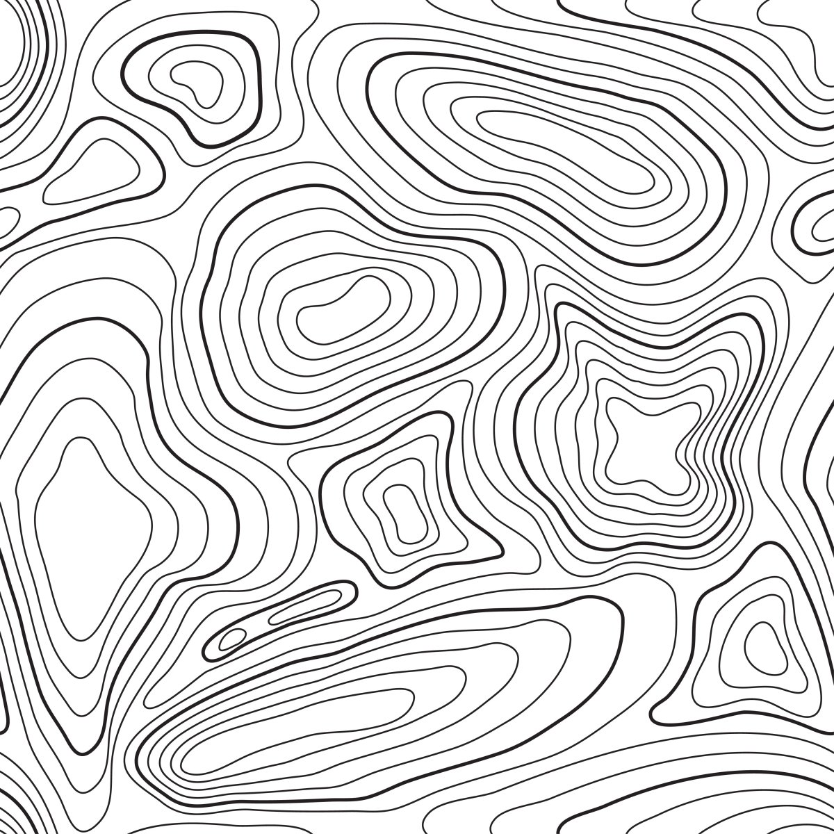 Topographic lines of the Cage