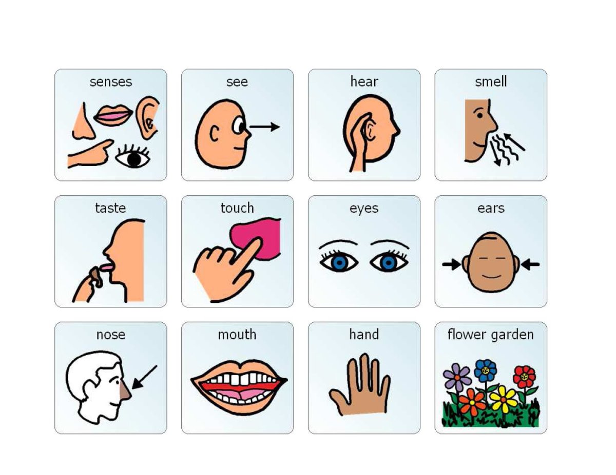 Пэкс карточки для аутистов