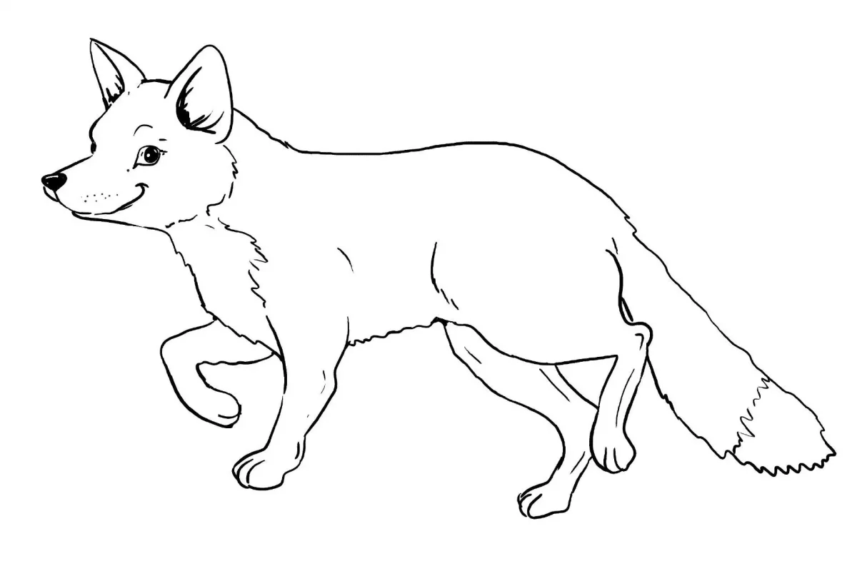 Контур лисы