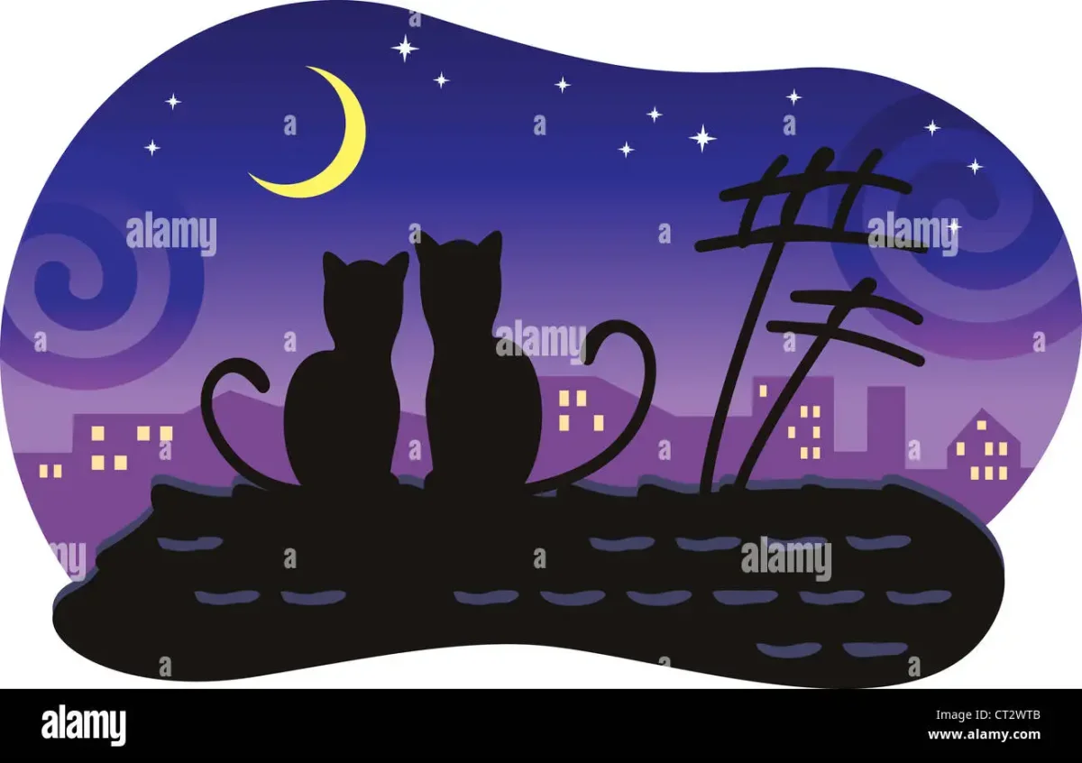 Силуэт двух кошек на фоне Луны