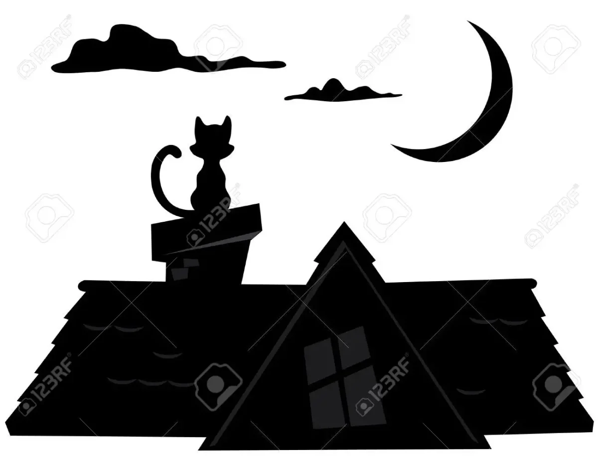 Раскраска домашняя кошка