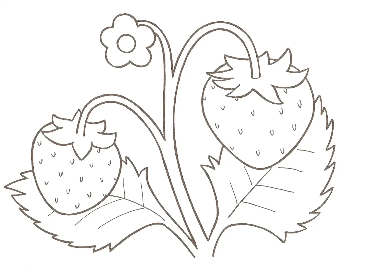 Земляника раскраска