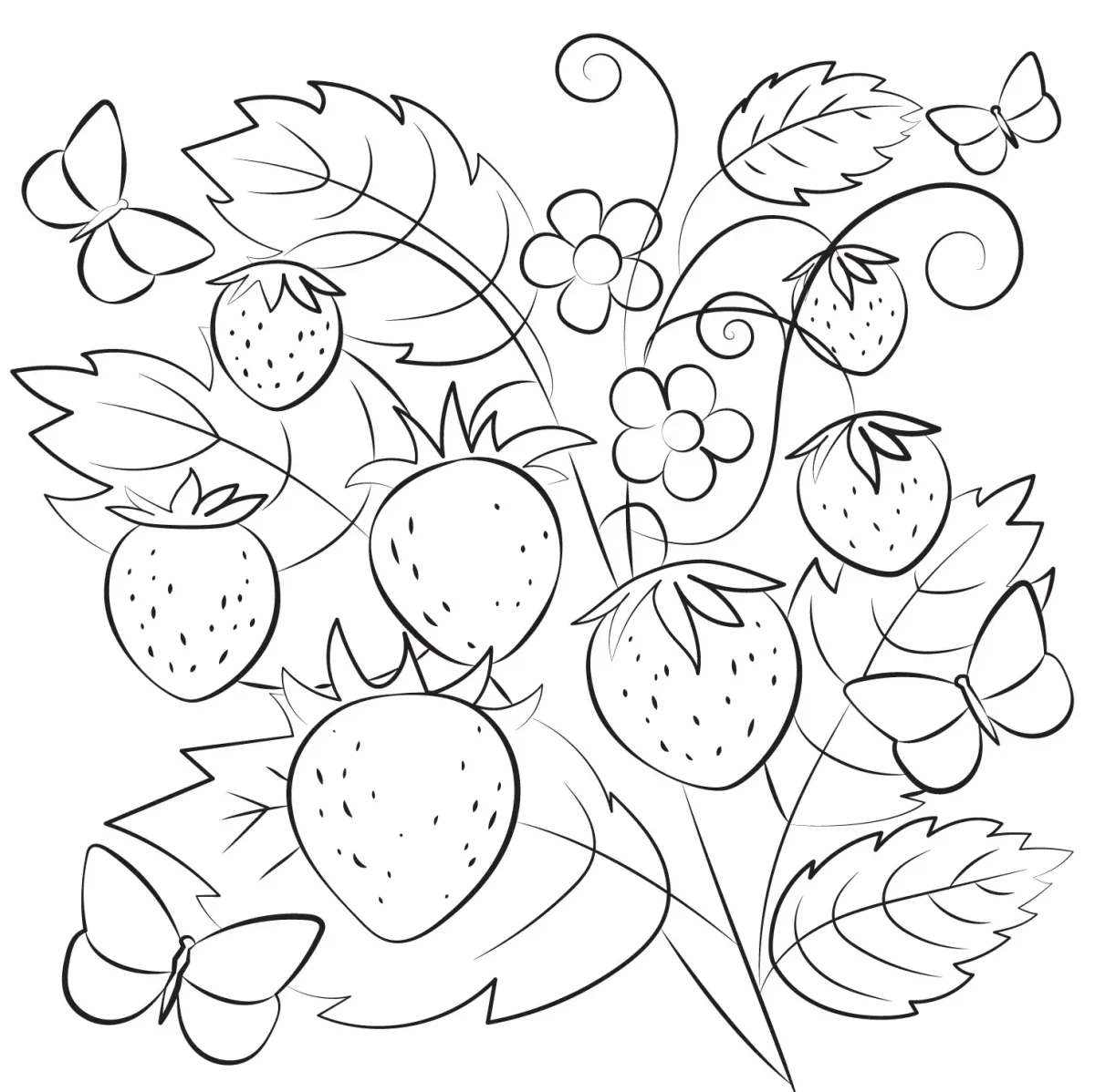 Раскраска ягода земляника