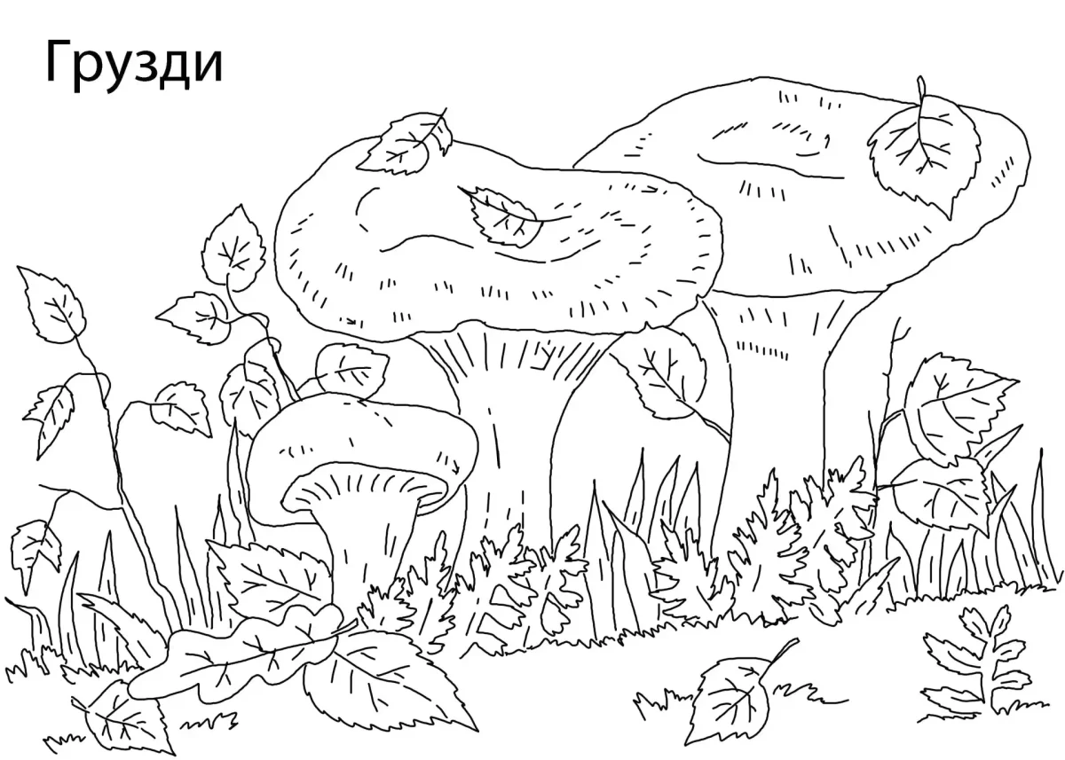 Куст крыжовника раскраска