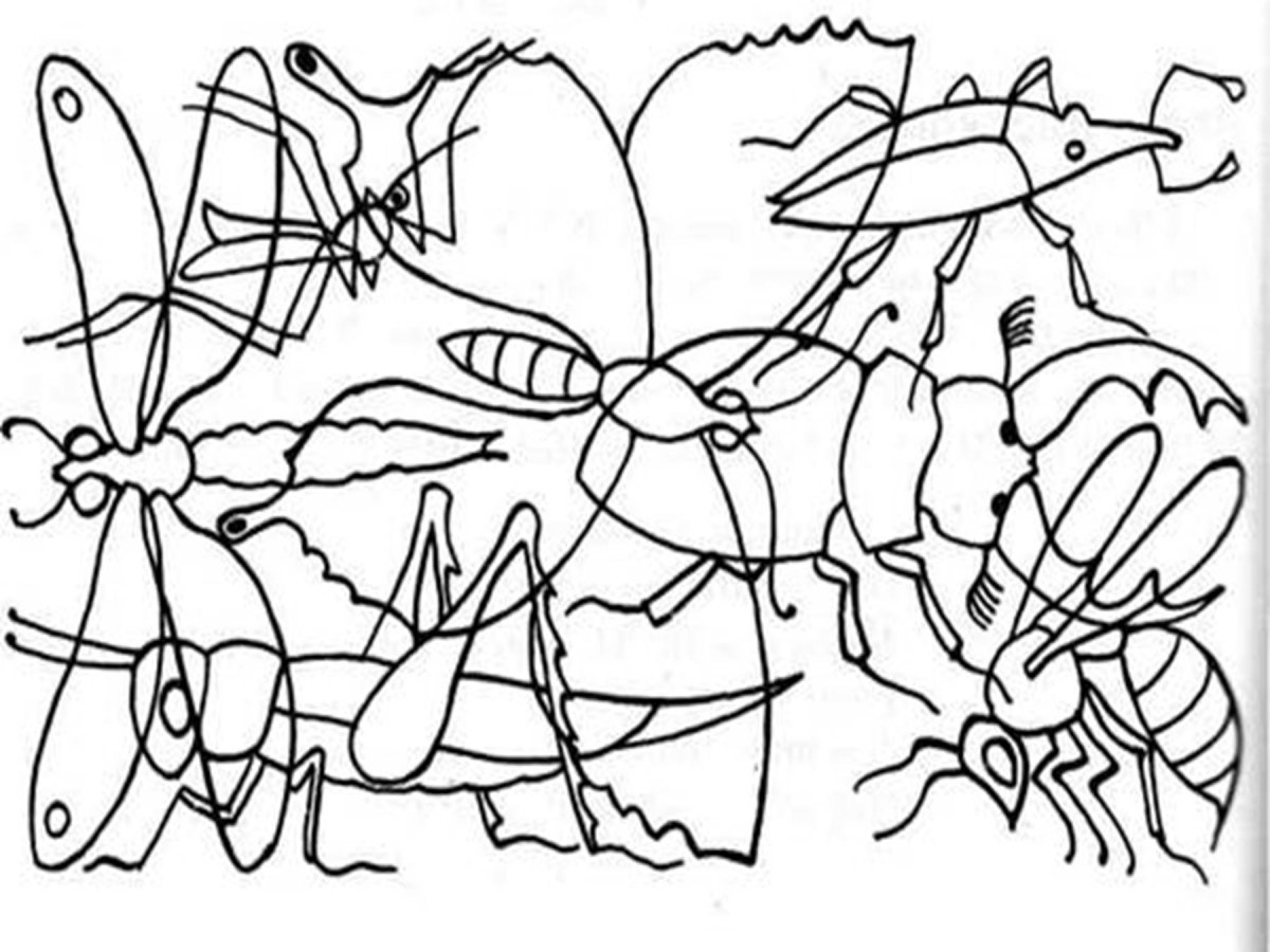 Найди и раскрась насекомых