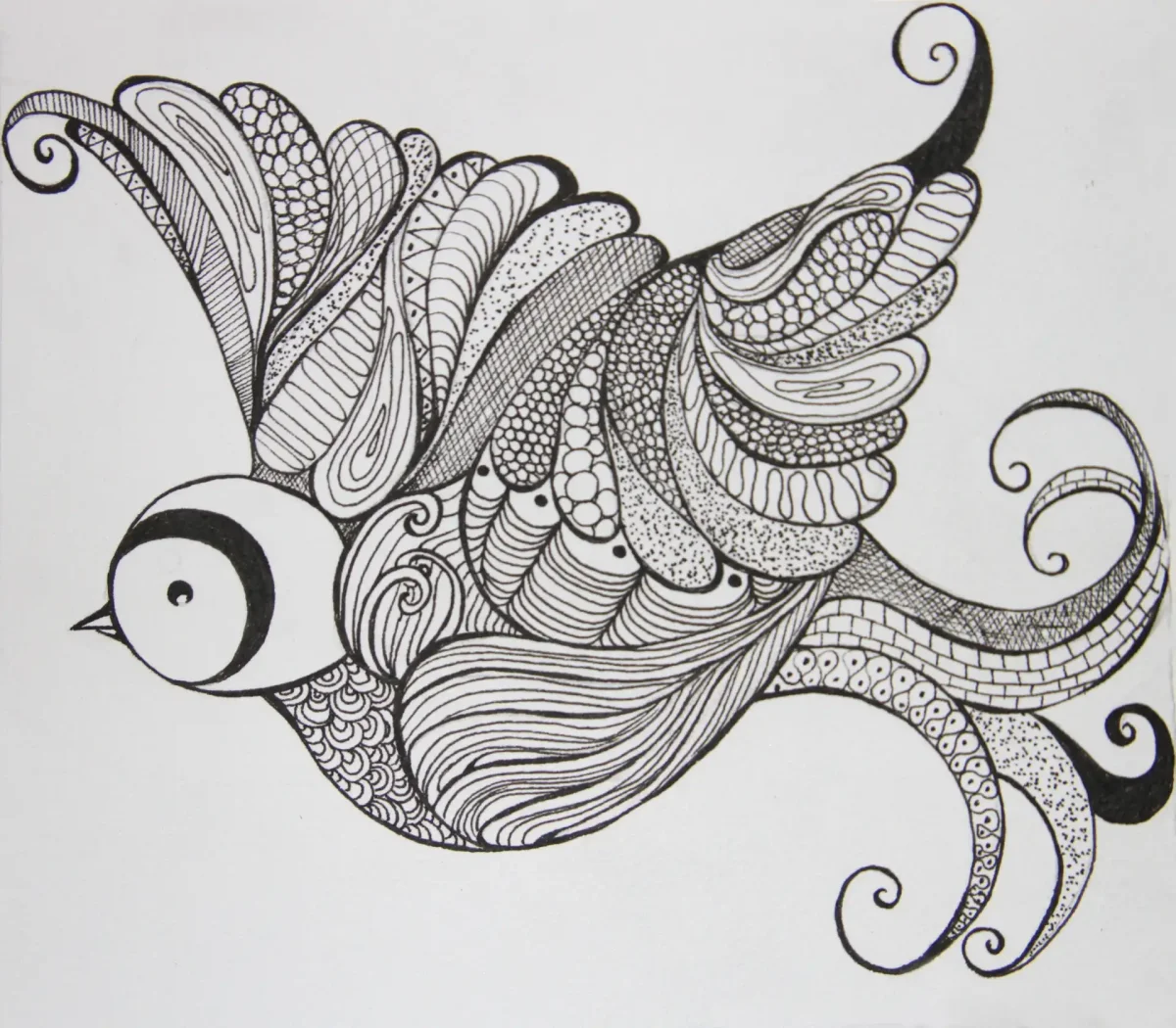 Дудлинг птицы