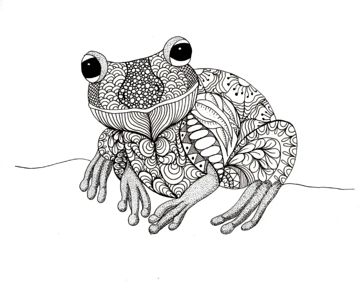 Раскраска сложная жаба