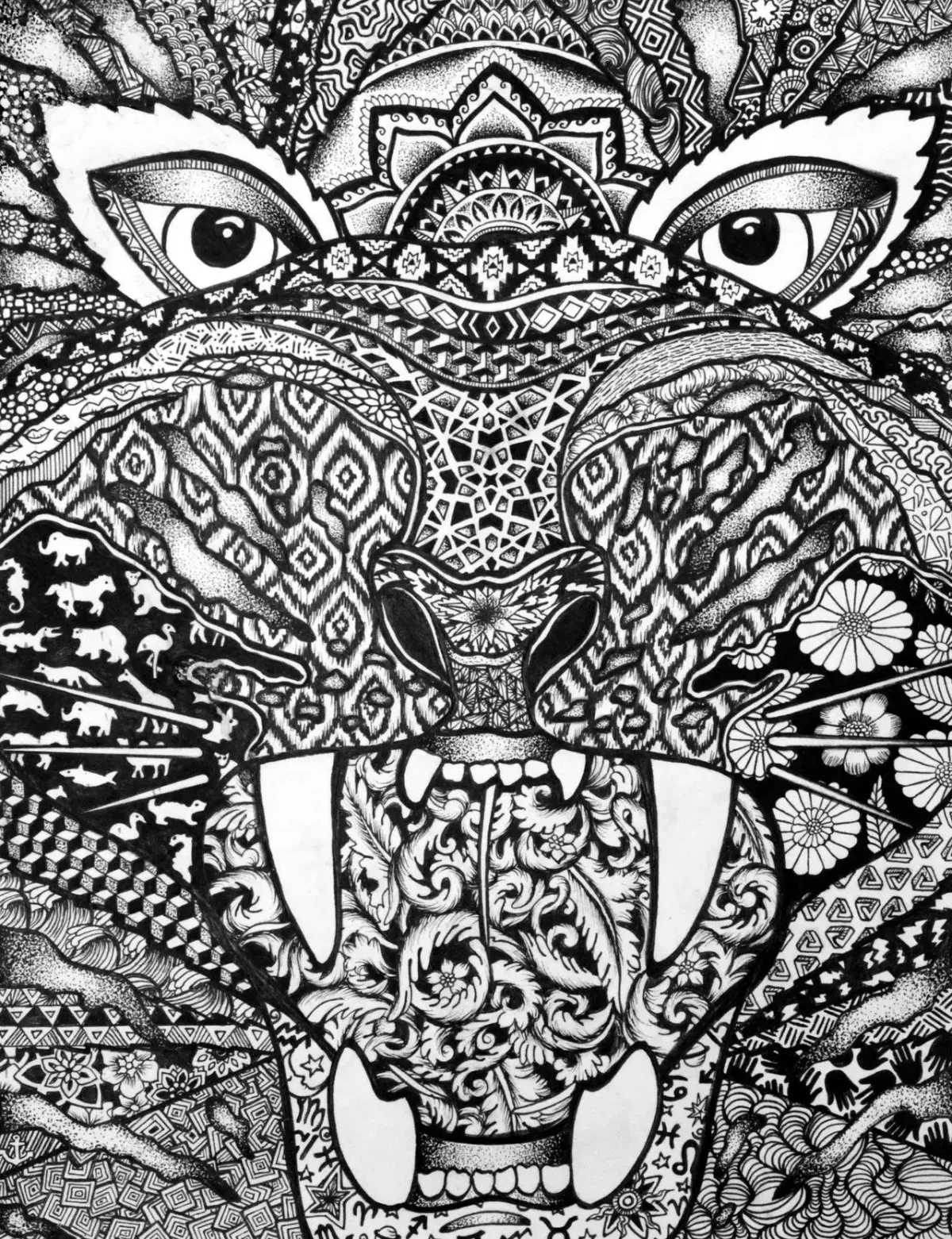 Зенарт черепаха