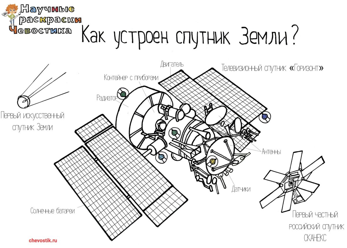 Раскраски чевостик