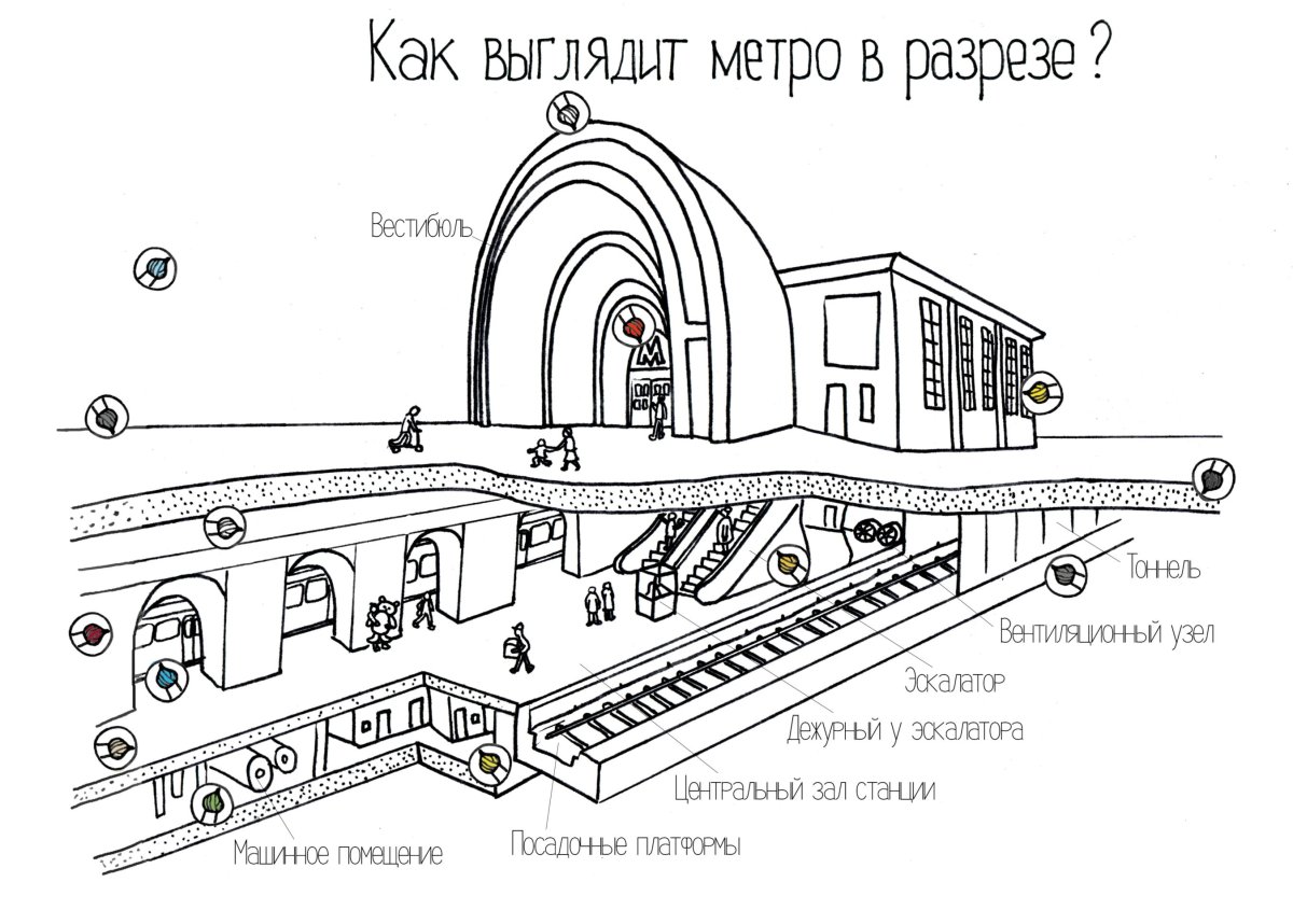 Научные раскраски Чевостика