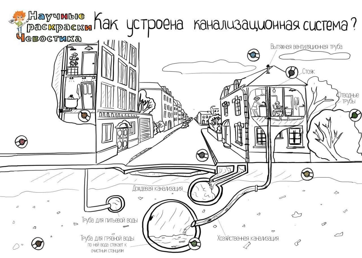 Раскраски Чевостика