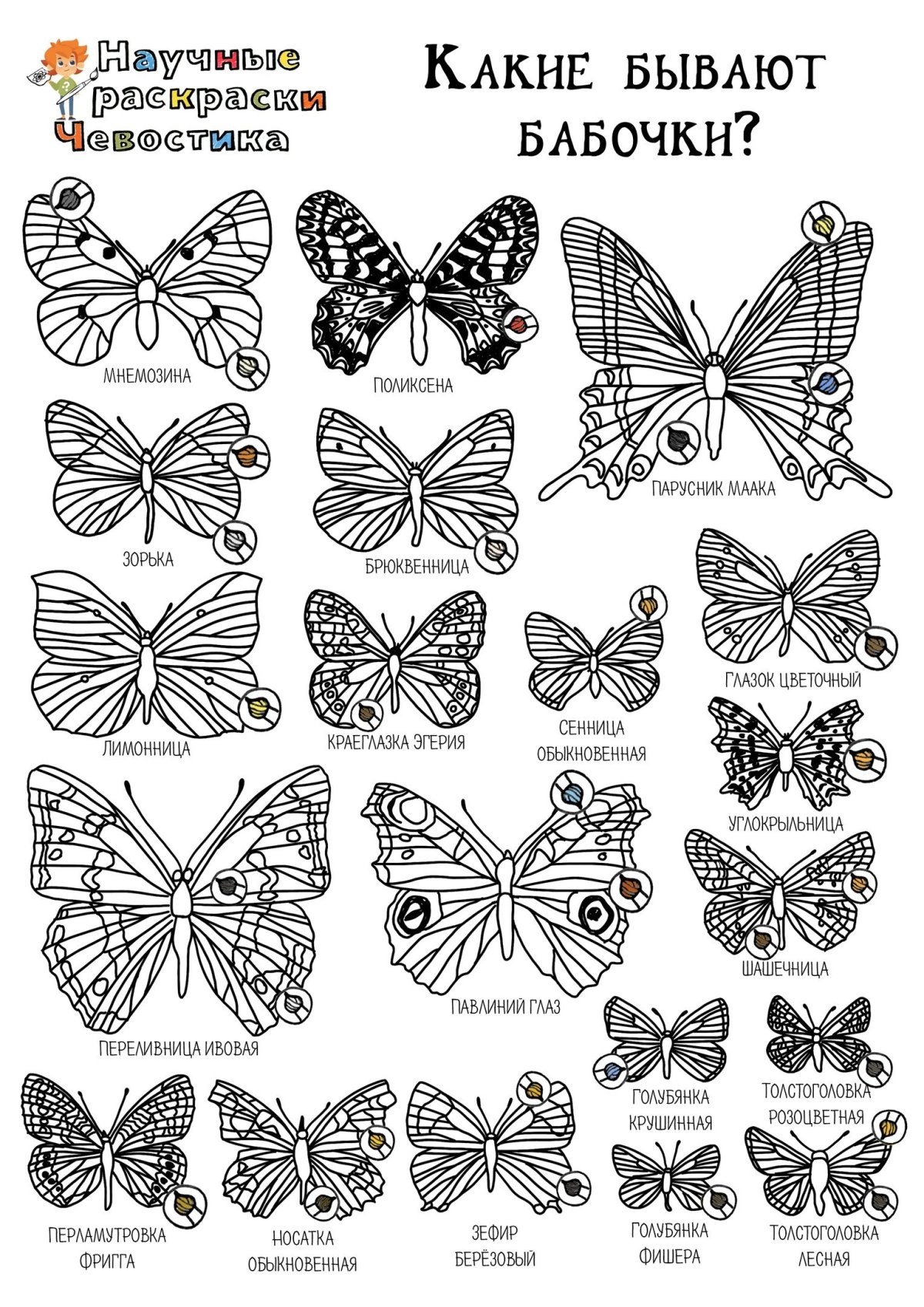 Чевостик эмблемы центров