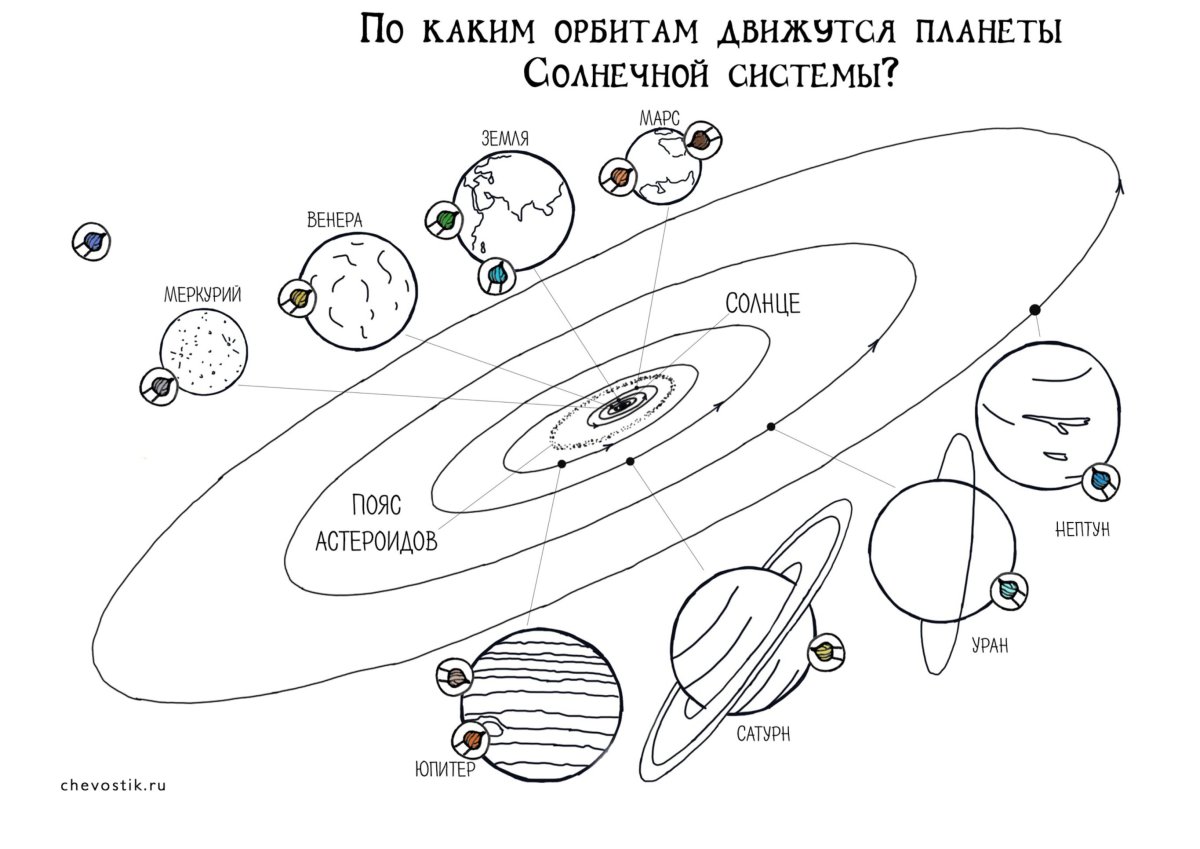 Раскраски по биологии