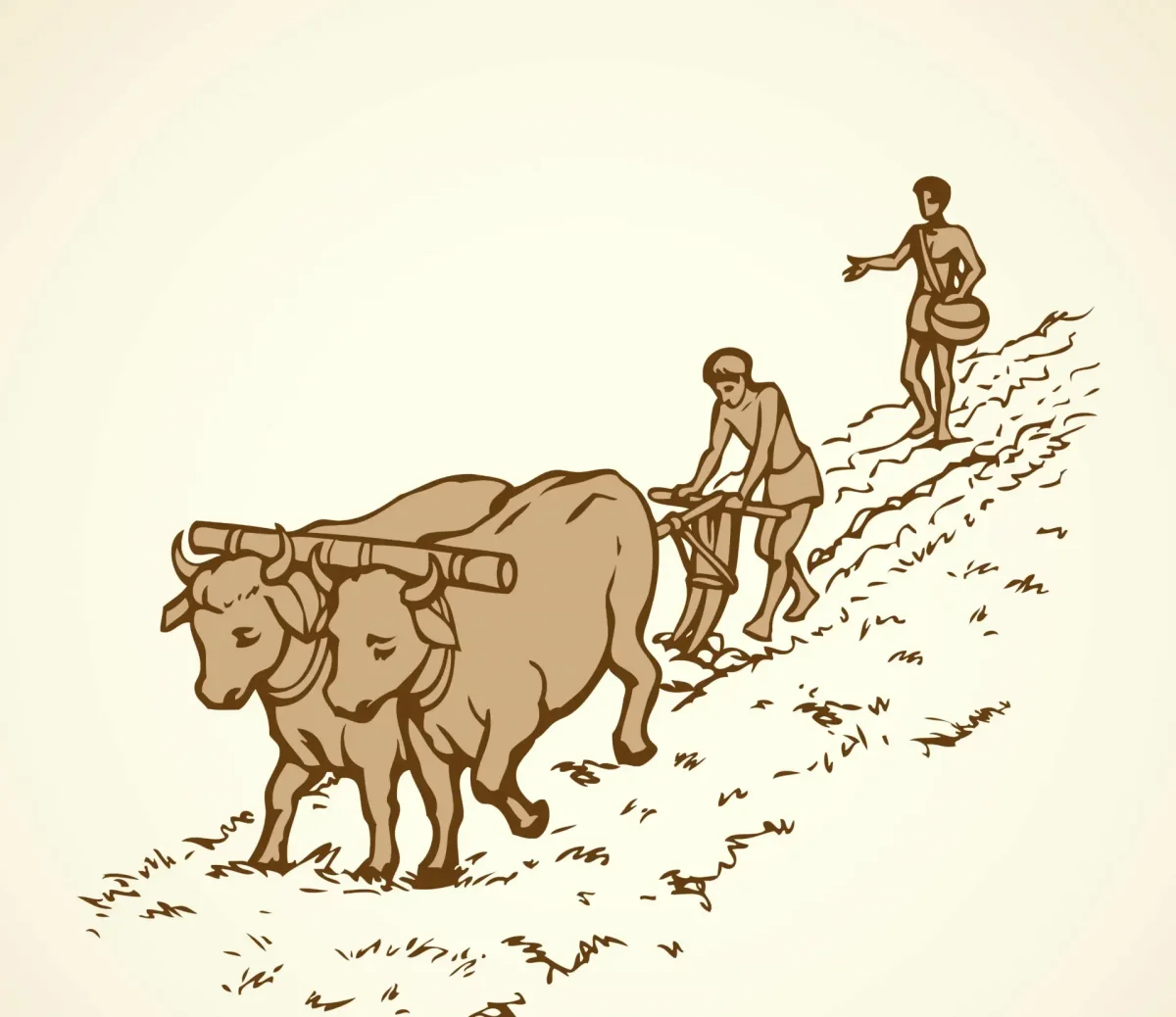 Земледелие рисунок