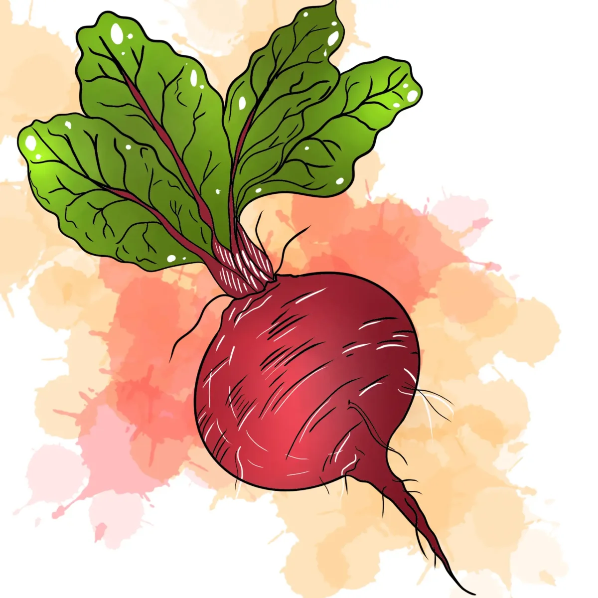 Овощи раскраска для детей