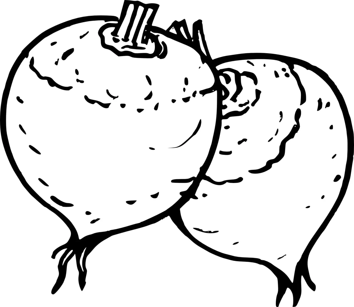 Свекла раскраска