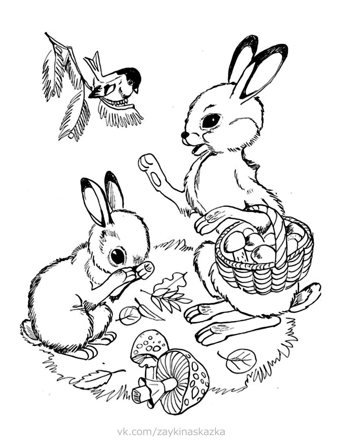 Белка с бельчатами раскраска для детей