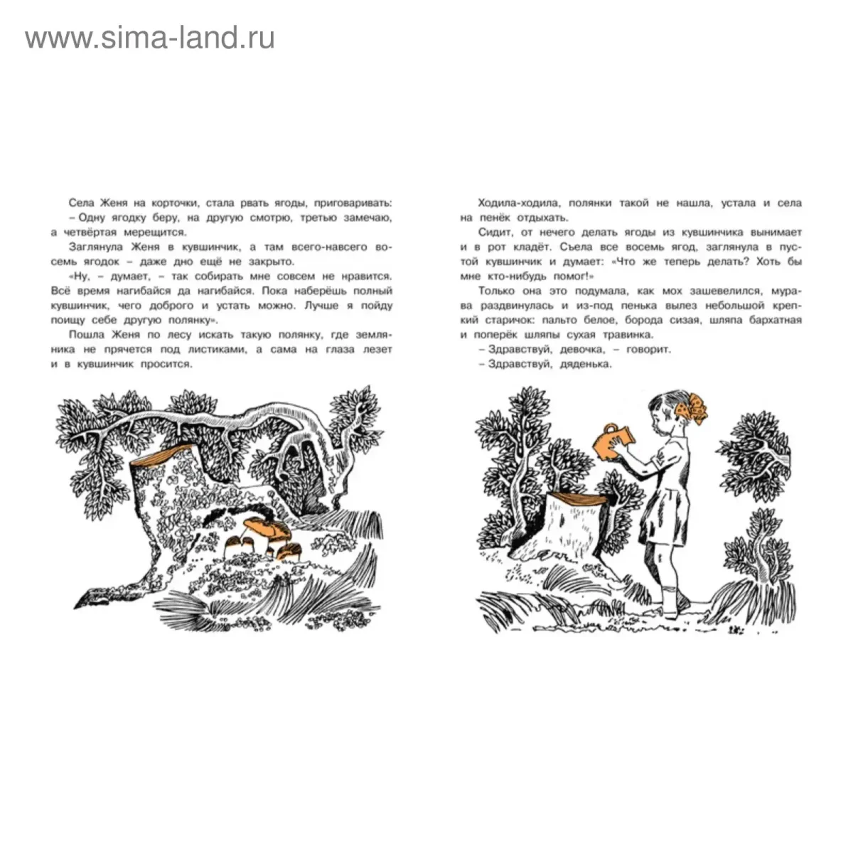 Дудочка и кувшинчик Махаон