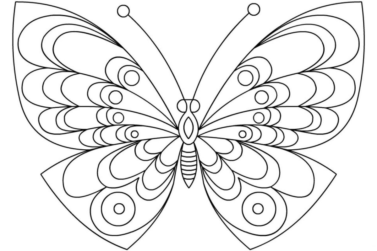 Раскраска "бабочки"