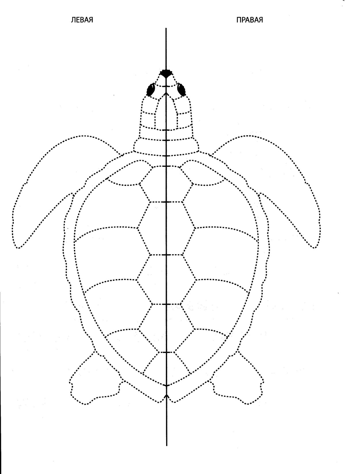 Рисование двумя ручками