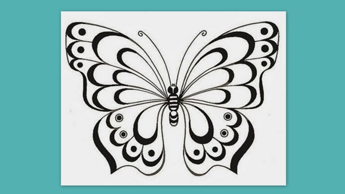 Раскраска "бабочки"