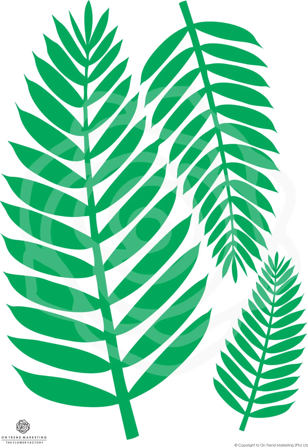 Тропические листья черно белые