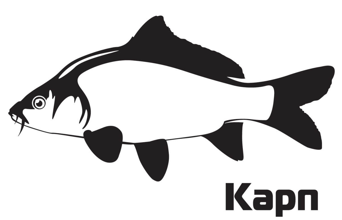 Карась рисунок