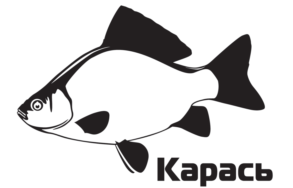 Векторное изображение рыбы