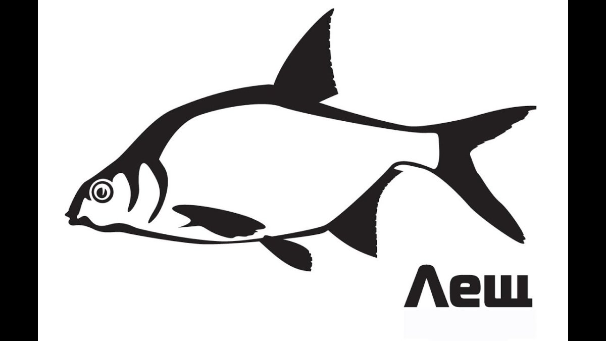 Силуэт рыбы