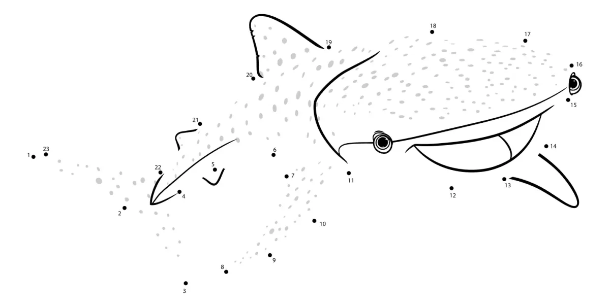 Смешная акула раскраска для детей