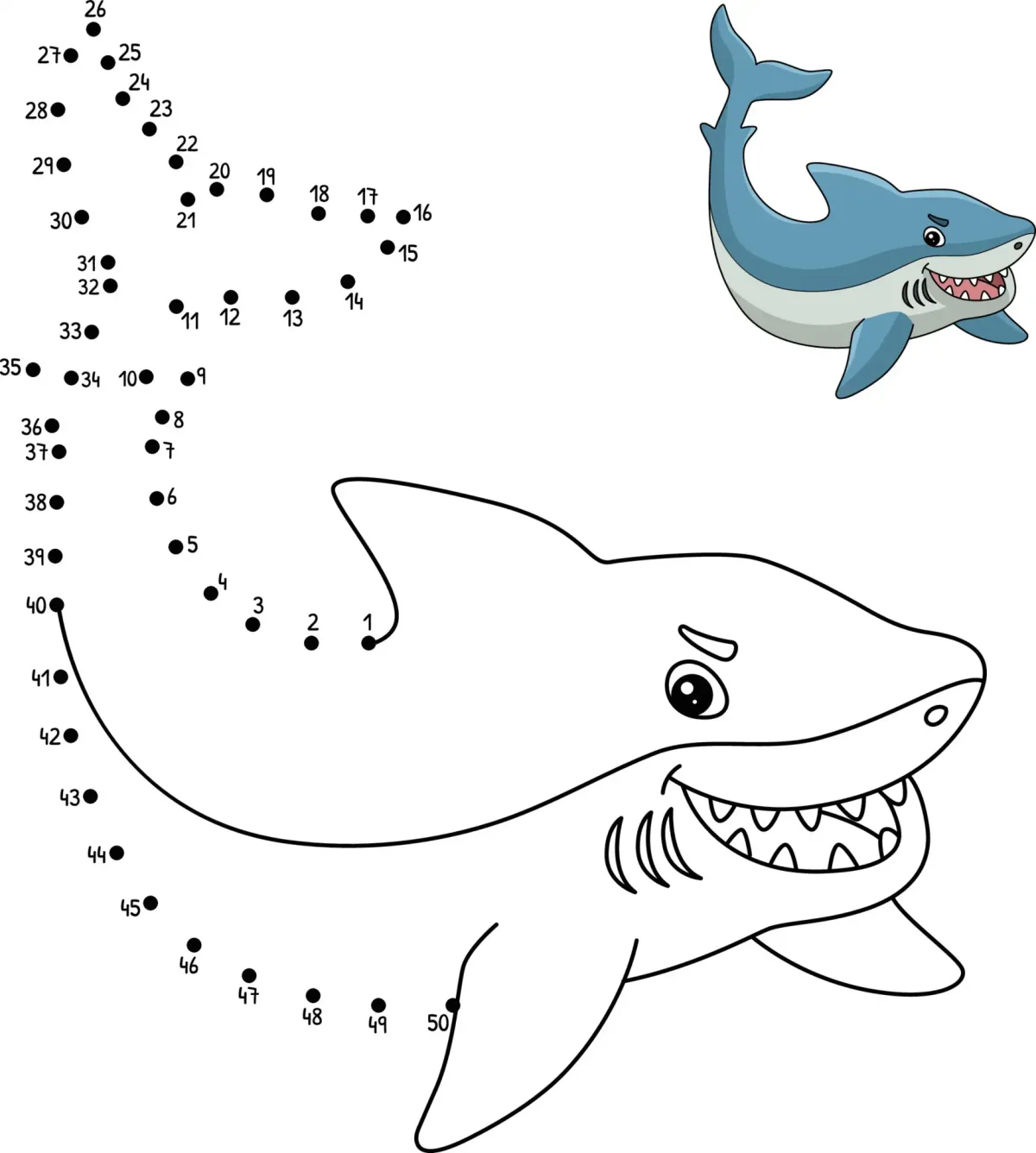 Точечная акула