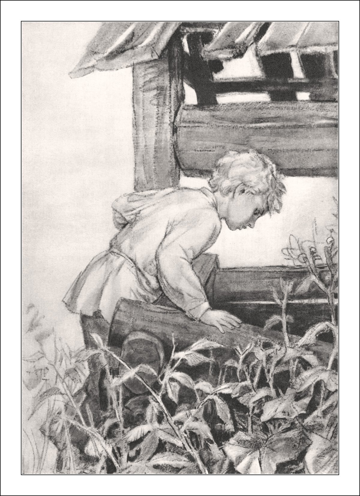 Недоросль Фонвизин рисунок