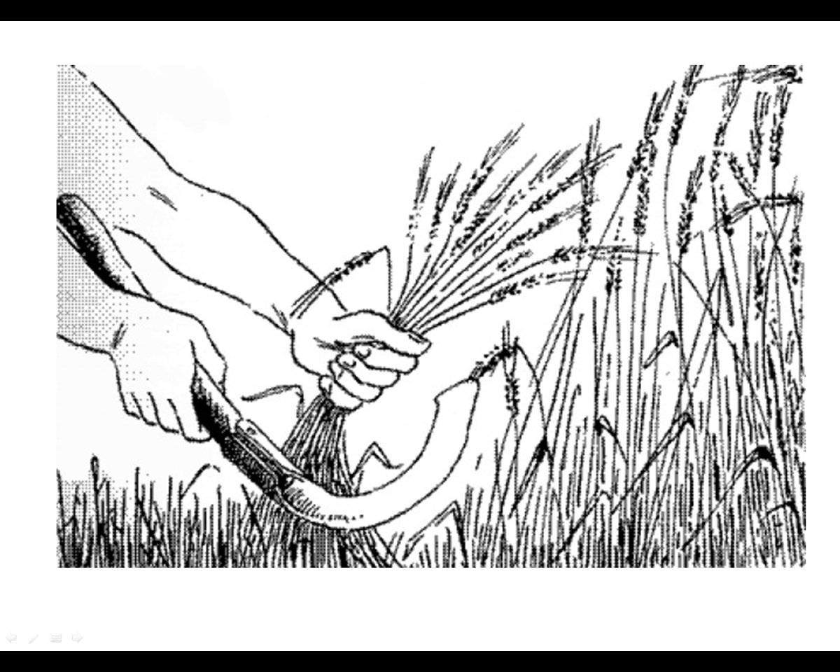 Пастух раскраска для детей