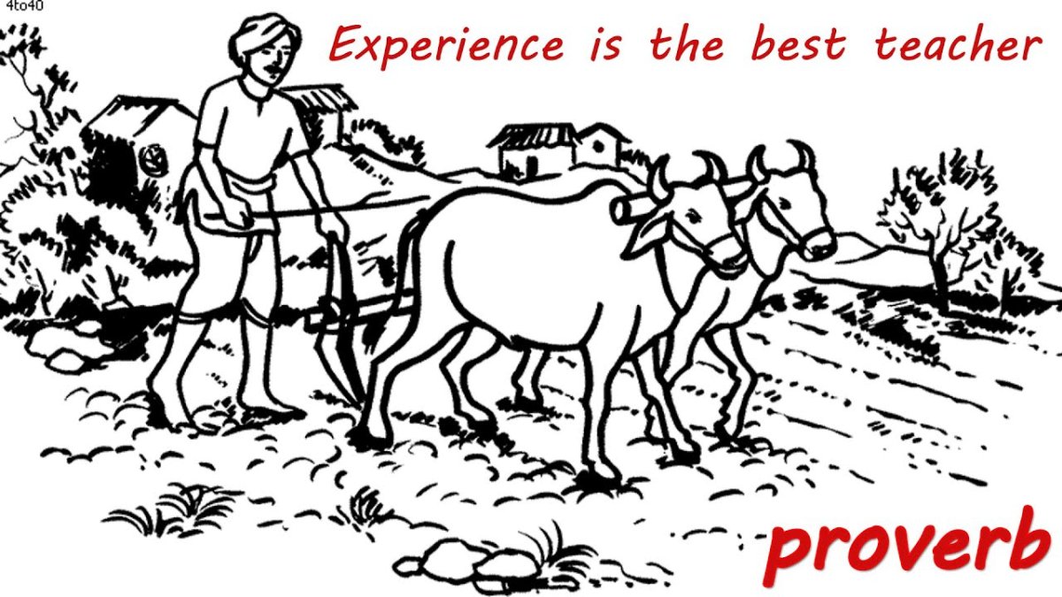 Фермер раскраска