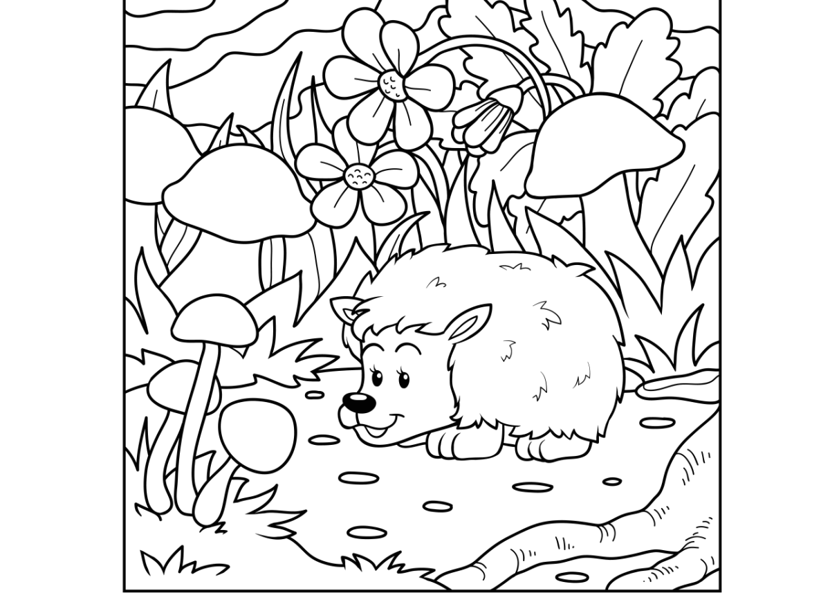 Раскраски по цифрам животные леса